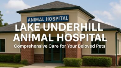 lake underhill animal hospital