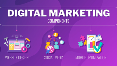 4 P’s Marketing Campaign and Target Audience